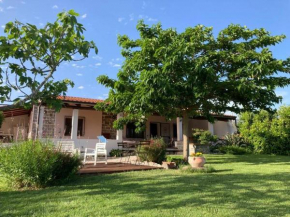 Countryside villa in Sardinia, Triei